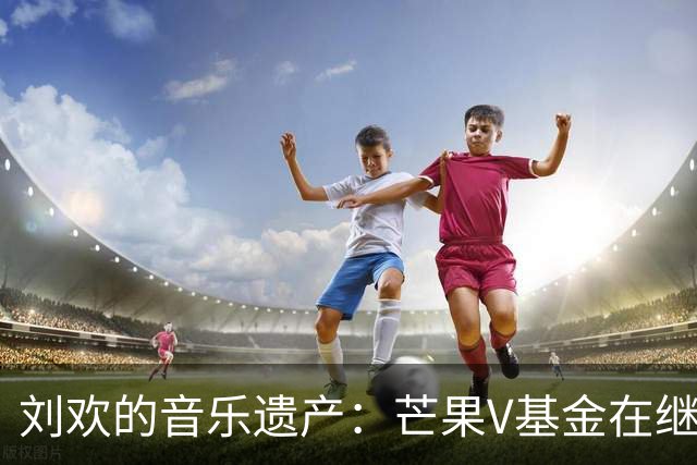 刘欢的音乐遗产：芒果V基金在继续“播种
